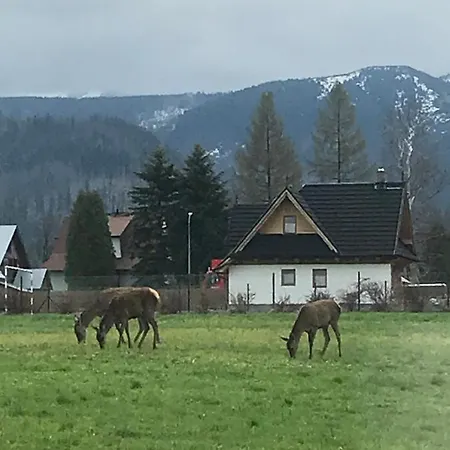 A3apartament 2 Pokojowy Aneks Kuchenny 2 Lazienki Na Korytarzu Wspolne Z Innymi Goscmi *