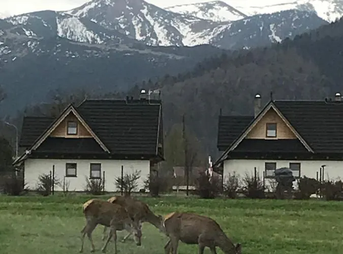 A3apartament 2 Pokojowy Aneks Kuchenny 2 Lazienki Na Korytarzu Lejlighed Zakopane